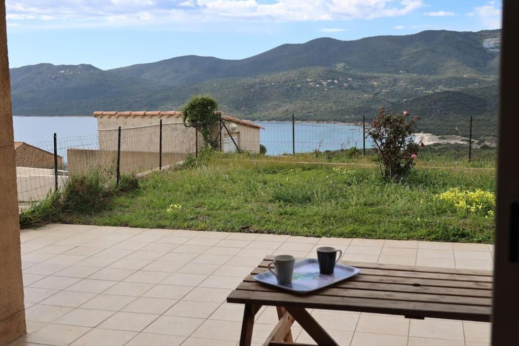 Chez Adrien 108-Appartement Magnifique Vue Mer Piscine Chauffee Serra di Ferro Esterno foto